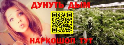 прущие грибы Гагарин